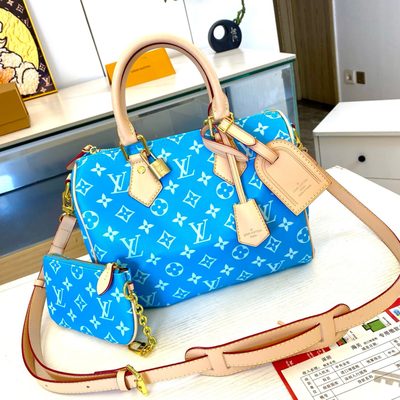 Louis Vuitton Bag — 3