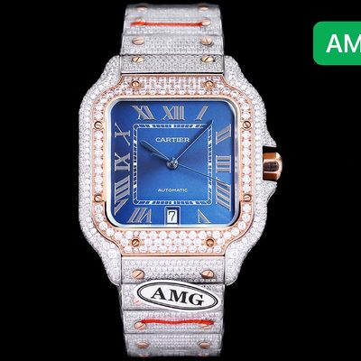 Cartier Watch
