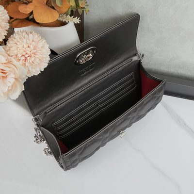 Dior Bag — 9