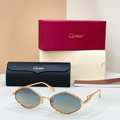 Cartier Sunglasses — 6