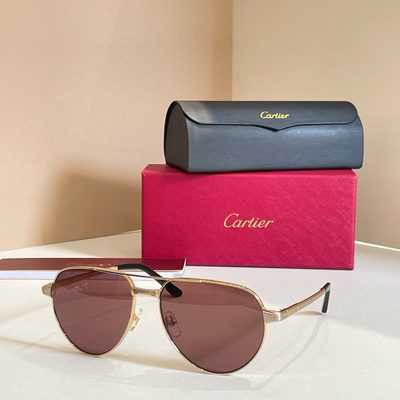 Cartier Sunglasses — 5
