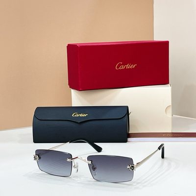 Cartier Sunglasses — 6