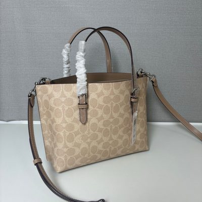 Coach Bag — 4