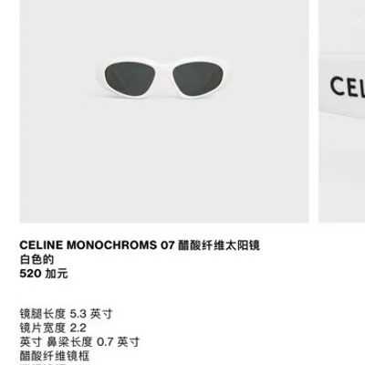 Celine Sunglasses — 4