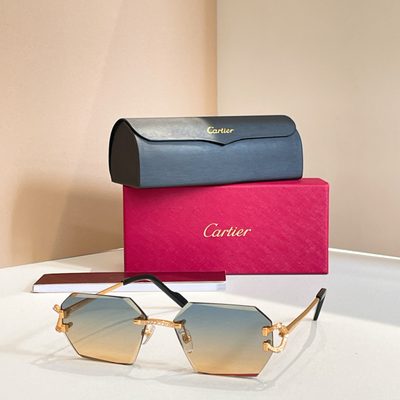 Cartier Sunglasses — 4