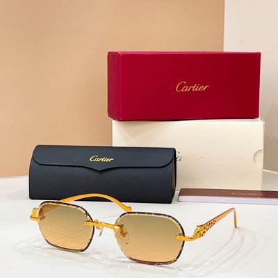 Cartier Sunglasses — 4