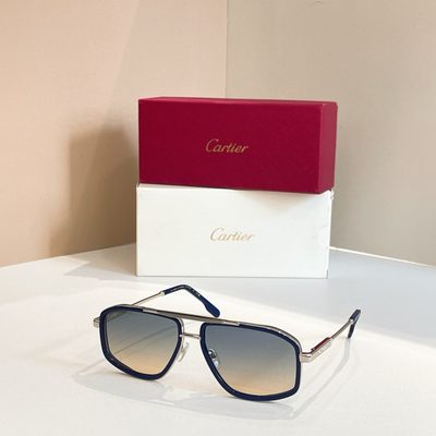 Cartier Sunglasses — 6