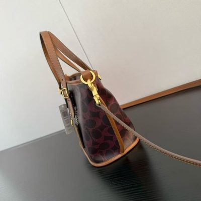 Coach Bag — 3