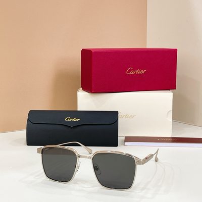 Cartier Sunglasses — 5