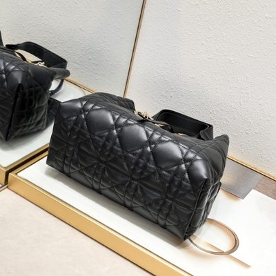 Dior Bag — 7