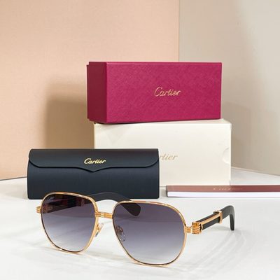 Cartier sunglasses — 6