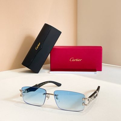 Cartier Sunglasses — 5