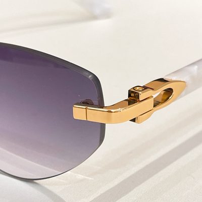 Cartier Sunglasses — 4