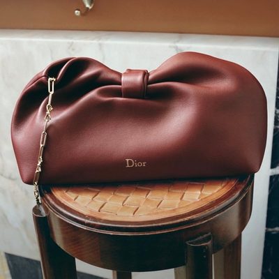 Dior Bag — 4