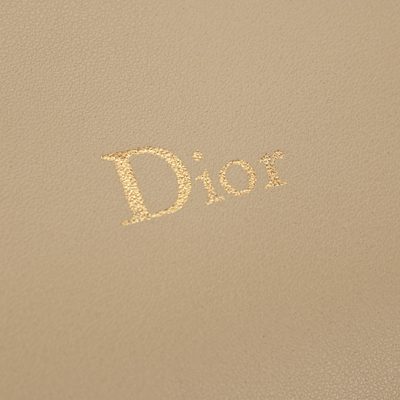 Dior Bag — 6