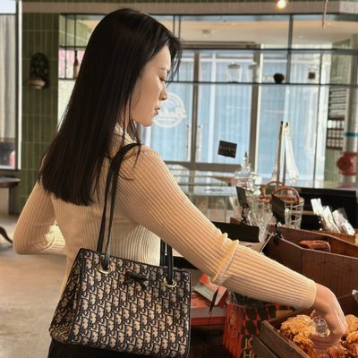 Dior Bag — 6