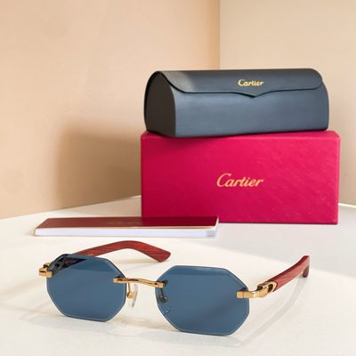 Cartier Sunglasses — 5