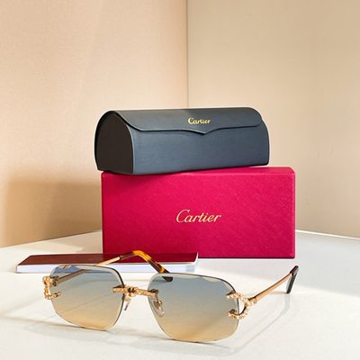 Cartier Sunglasses — 4