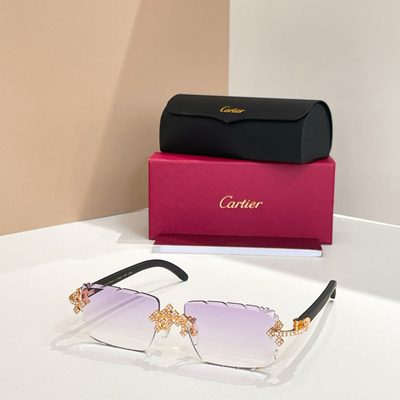 Cartier Sunglasses — 3
