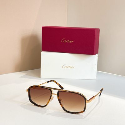 Cartier Sunglasses — 7