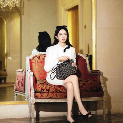 Dior Bag — 10