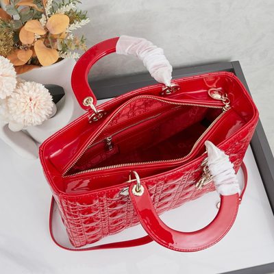 Dior Bag — 9
