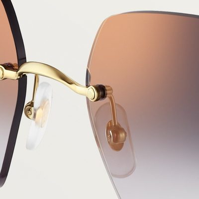 Cartier Sunglasses — 6