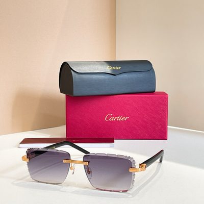 Cartier Sunglasses — 8