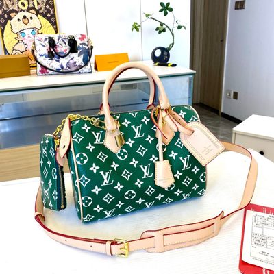Louis Vuitton Bag — 7