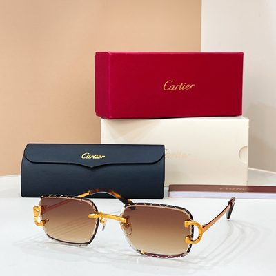Cartier Sunglasses — 6