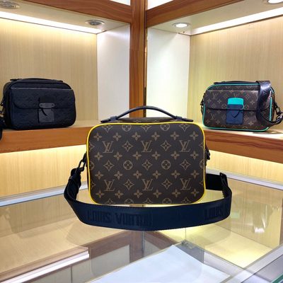 Louis Vuitton Bag — 7