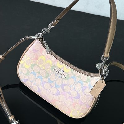 Coach Bag — 3