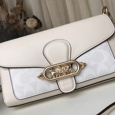 Coach Bag — 23