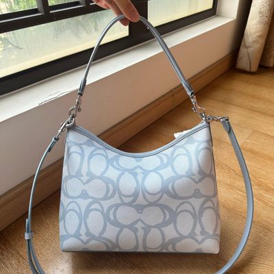 Coach Bag — 4