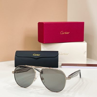 Cartier Sunglasses — 4