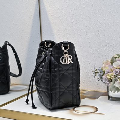 Dior Bag — 4