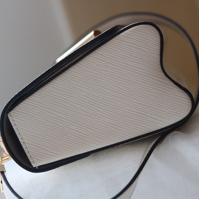 Louis Vuitton Bag — 8