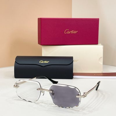 Cartier sunglasses — 9