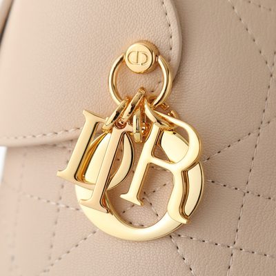 Dior Bag — 7