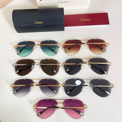 Cartier Sunglasses — 9