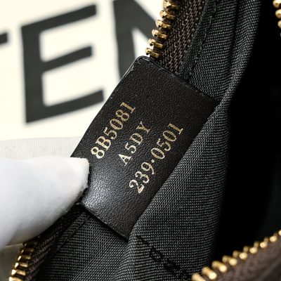 Fendi Bag — 8