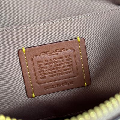 Coach Bag — 7