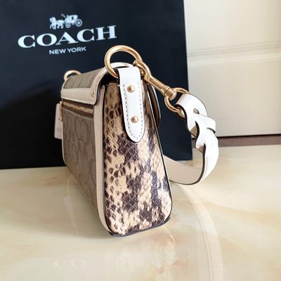 Coach Bag — 32