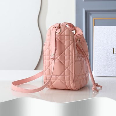 Dior Bag — 3
