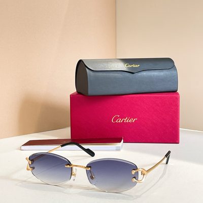 Cartier Sunglasses — 5