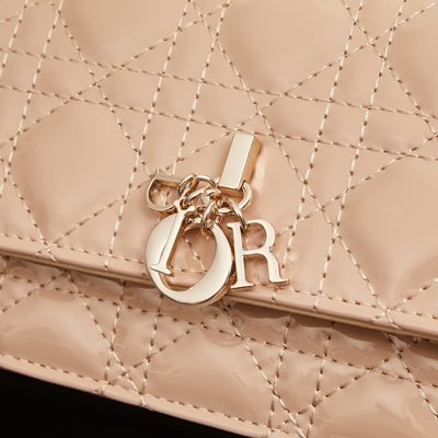 Dior Bag — 5