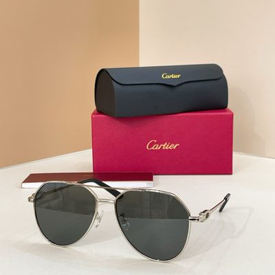 Cartier Sunglasses — 4