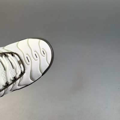 Nike Air Max Plus trainers — 7