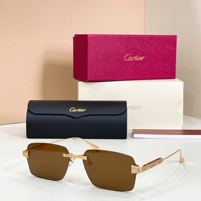 Cartier sunglasses — 6