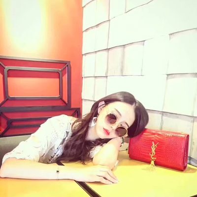 YSL Bag — 9
